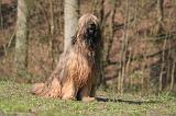 BRIARD 062